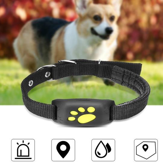GPS Pet Tracker for Dogs & Cats – Real-Time Location Tracking Collar Device for Pet Safety Furrynote