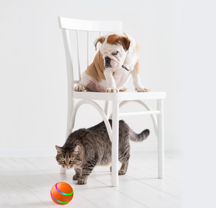 Interactive Automatic Cat Ball Toy – USB Rechargeable Self-Rotating Intelligent Ball for Indoor Cats Furrynote